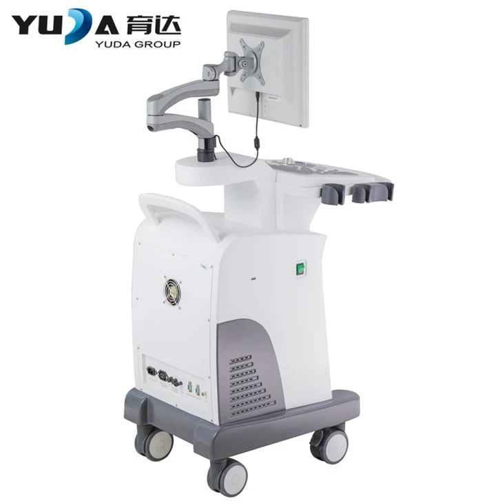Medical Black And White 4D Ultrasound